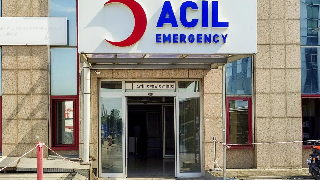 İstanbul’da Kuduz Alarmı: Kadıköy’de Rekor Başvuru!