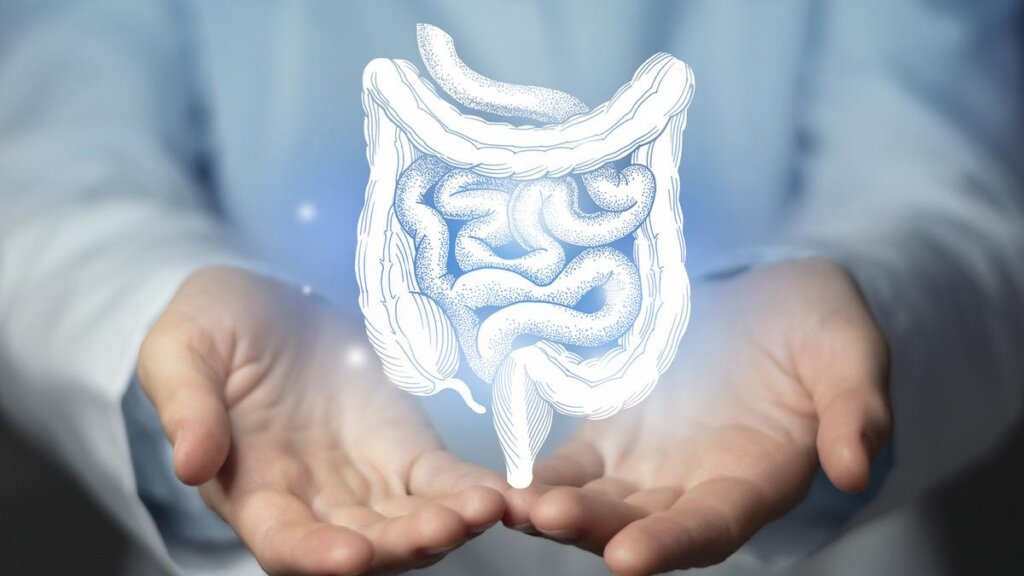 Gençlerde Kolorektal Kanser Alarm Veriyor: Neden Artışta?