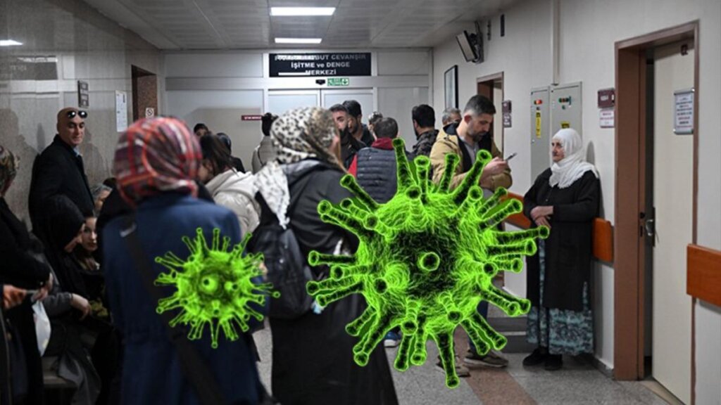 Domuz Gribi Vakaları Yeniden Arttı: Neden Bu Kadar Endişelenmeliyiz?