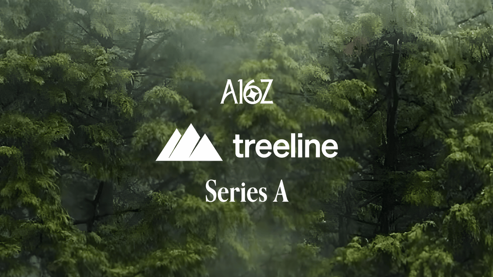 Treeline’dan Büyük Hamle: 25 Milyon Dolar Yatırım Aldı!