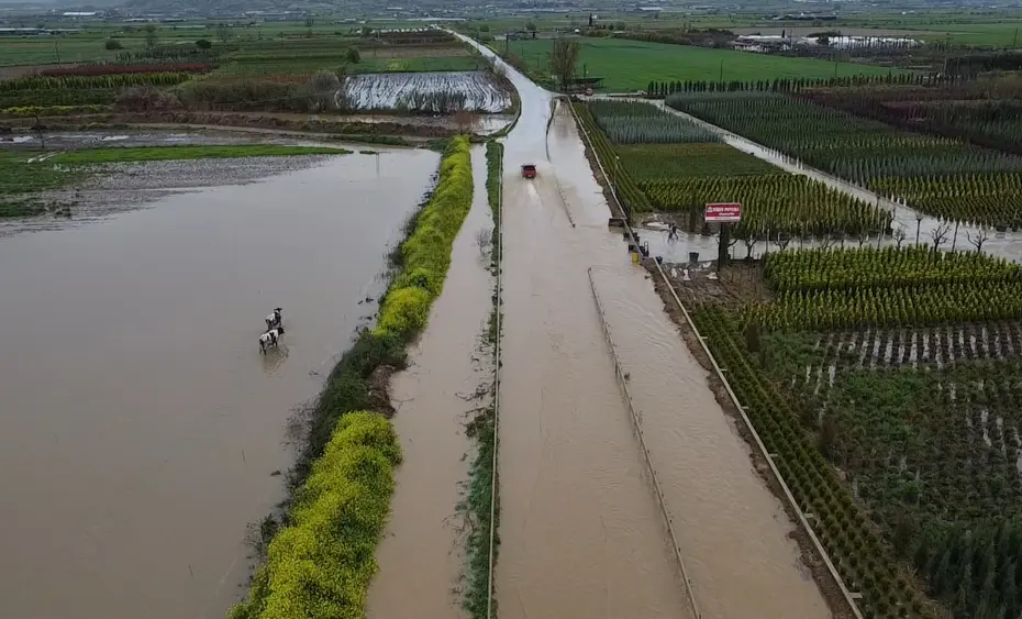 Ödemiş'te Şiddetli